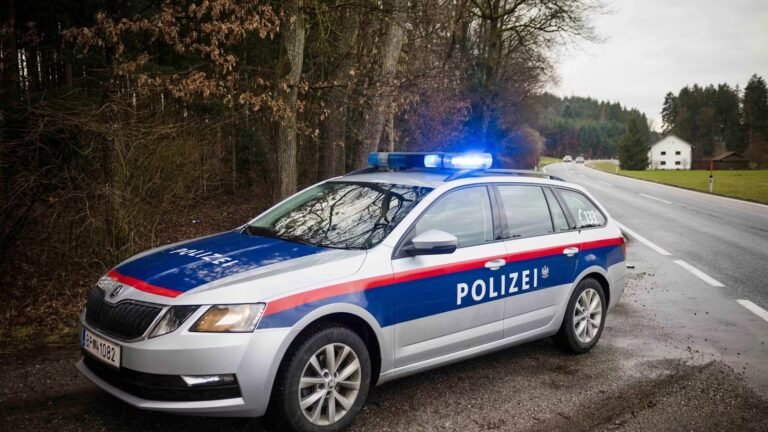 تحقيقات جارية لكشف ملابسات العثور على جثة امرأة محترقة في فيينا